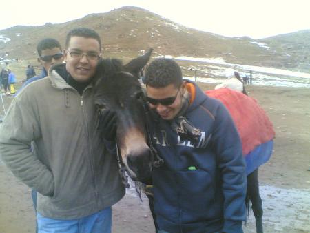 ya chti mahya bach khayba  akhoya anzil